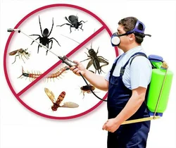 PEST CONTROL SERVICES