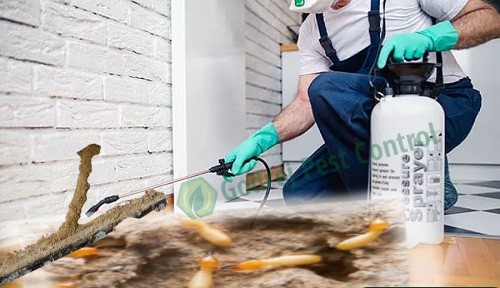 Termite Treatment Team at Work