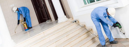 Anti-Termite Drilling & Injection